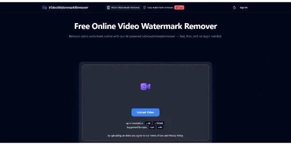 Video Watermark Remover